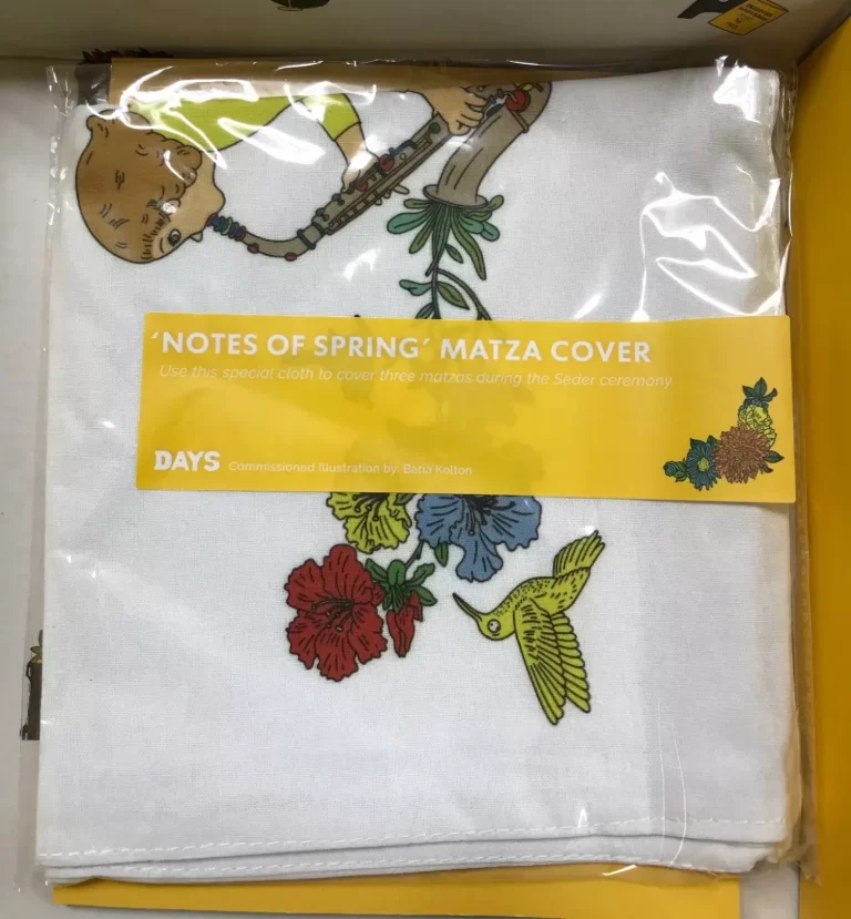 Days United Passover Celebrate Traditions In a Box DIY Ceder Holiday Crafts NEW - Image 12