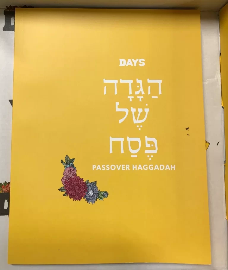Days United Passover Celebrate Traditions In a Box DIY Ceder Holiday Crafts NEW - Image 13