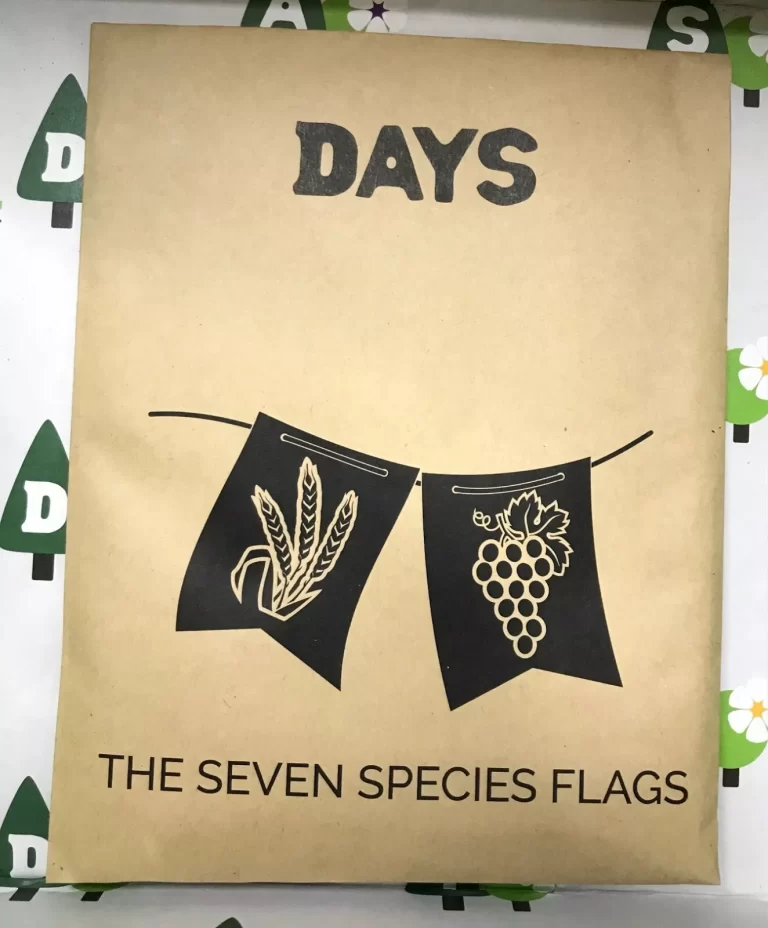 Days United Tu B'Shvat Celebrate Traditions In a Box Holiday Crafts NEW - Image 12