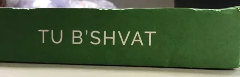 Days United Tu B'Shvat Celebrate Traditions In a Box Holiday Crafts NEW - Image 3