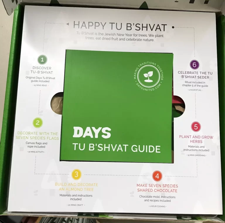 Days United Tu B'Shvat Celebrate Traditions In a Box Holiday Crafts NEW - Image 4