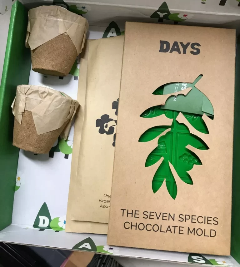 Days United Tu B'Shvat Celebrate Traditions In a Box Holiday Crafts NEW - Image 7