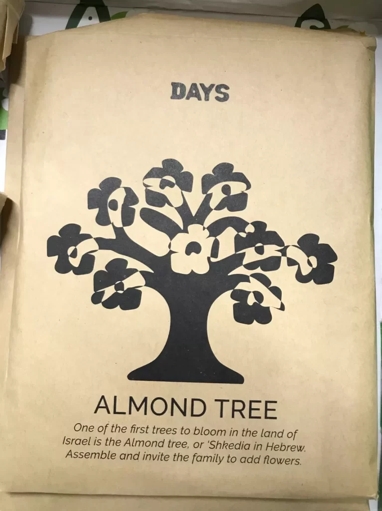 Days United Tu B'Shvat Celebrate Traditions In a Box Holiday Crafts NEW - Image 10