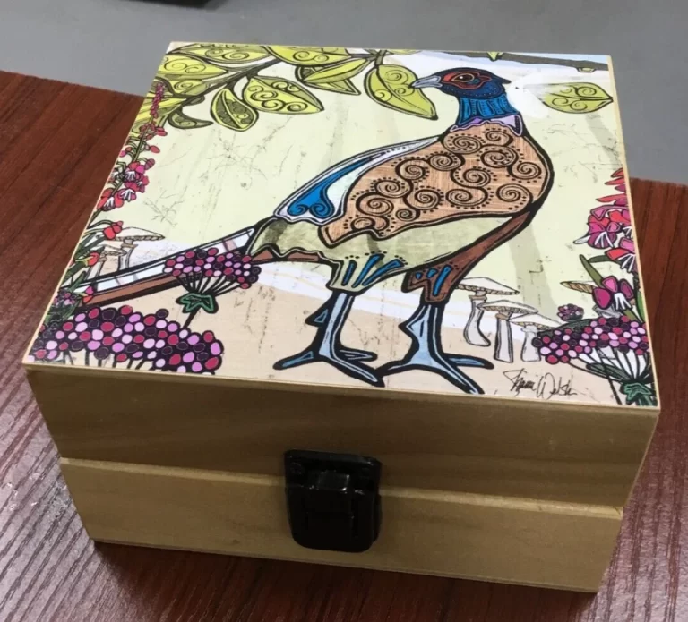 Fat Dragonfly Collection Pheasant Wooden Box with Apron Shanni Welsh - Image 3