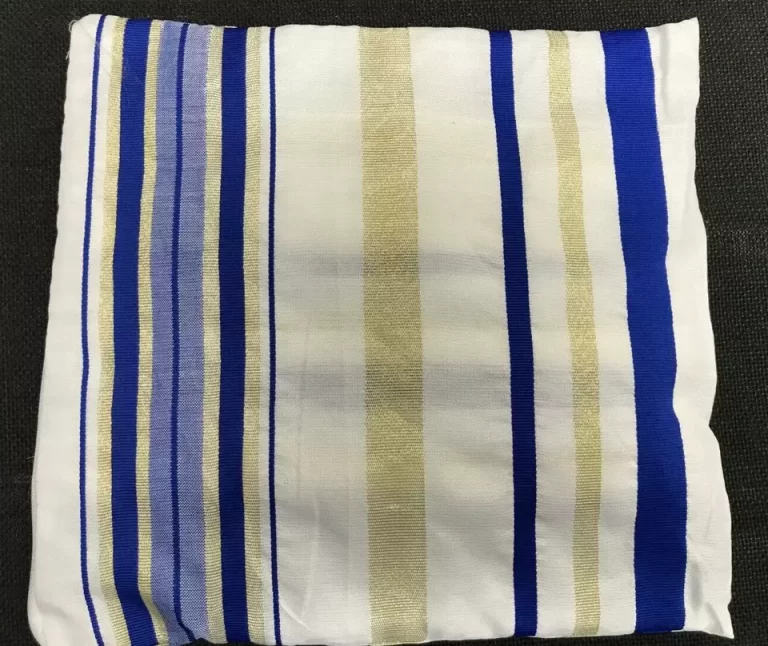 NEW Covenant Messianic Jewish Tallit Shawl Storage Case Blue & Gold & White NEW - Image 4