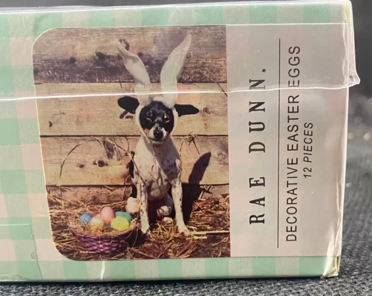 Rae Dunn Set of 12 Eggs Blessings Faith Hope Peace Love Easter NEW - Image 7