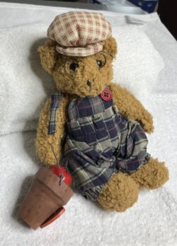 Country Bear