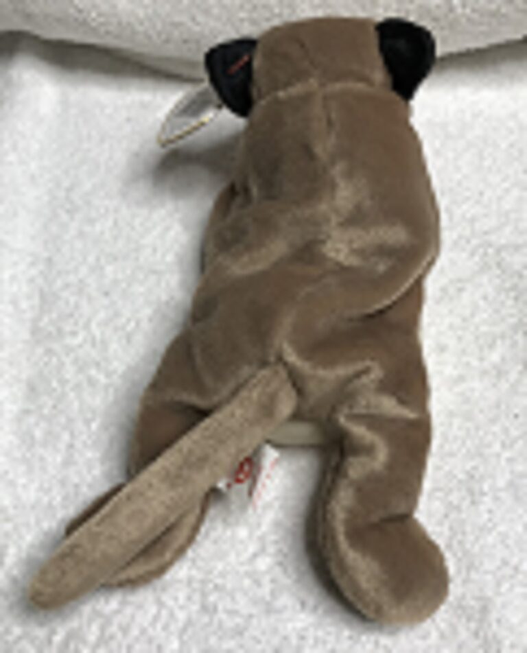 Ty Beanie Baby Canyon the Cougar – 1998 – Retired – Tags Intact – Estate Collection - Image 4