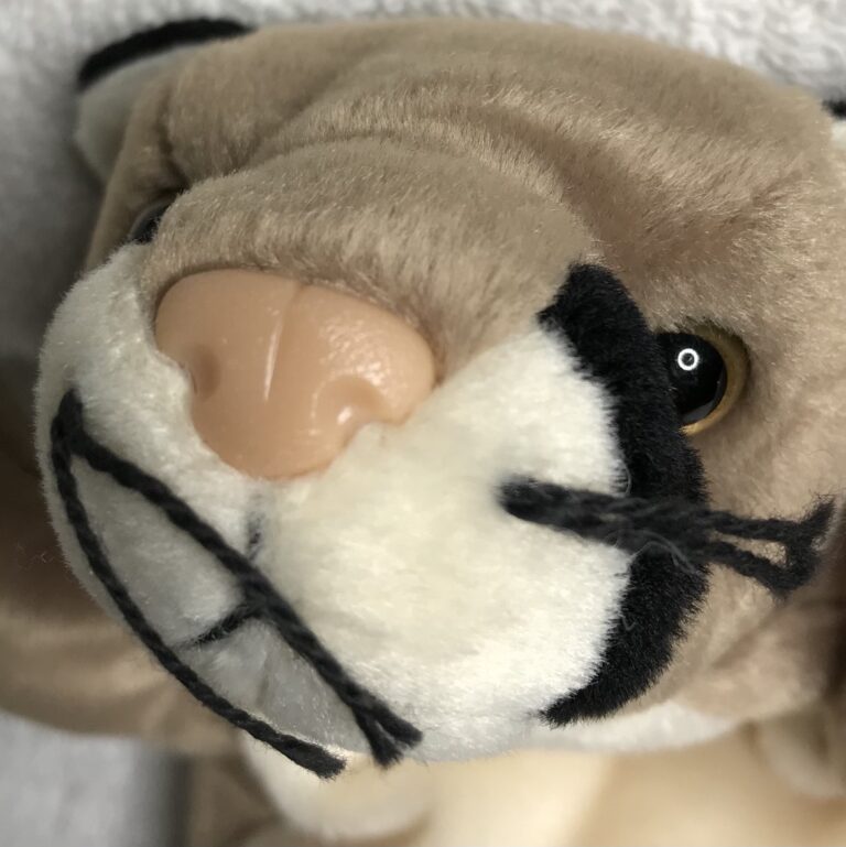 Ty Beanie Baby Canyon the Cougar – 1998 – Retired – Tags Intact – Estate Collection - Image 7