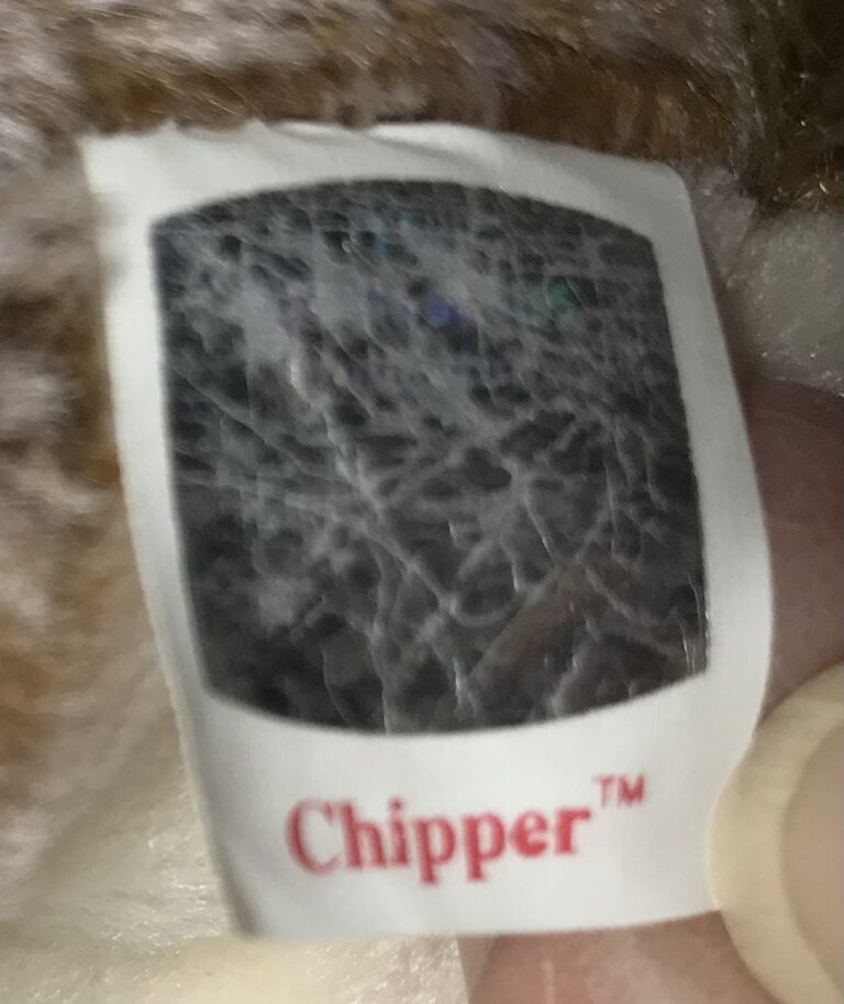Ty Beanie Baby Chipper the Chipmunk  DOB 4/21/1999 Tags Intact Retired  Estate - Image 7