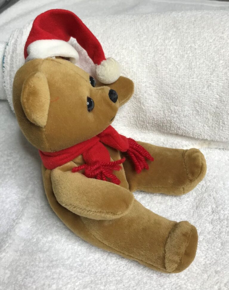 Christmas Bear