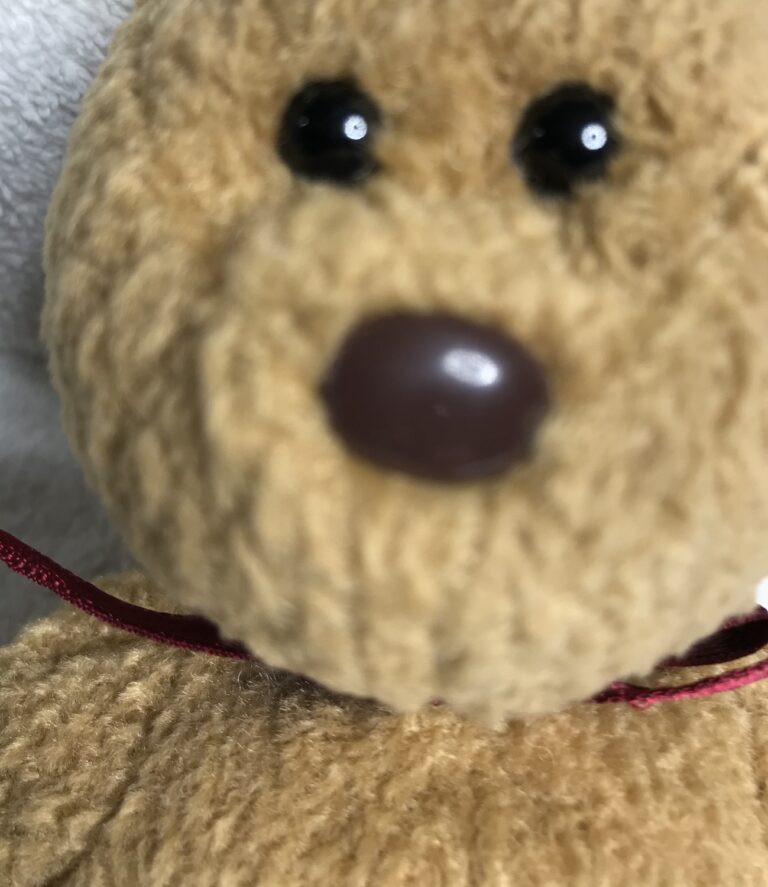 Ty Beanie Baby Curly the Bear – DOB 4/12/1996 – Retired – Tags Intact – Estate Collection - Image 3
