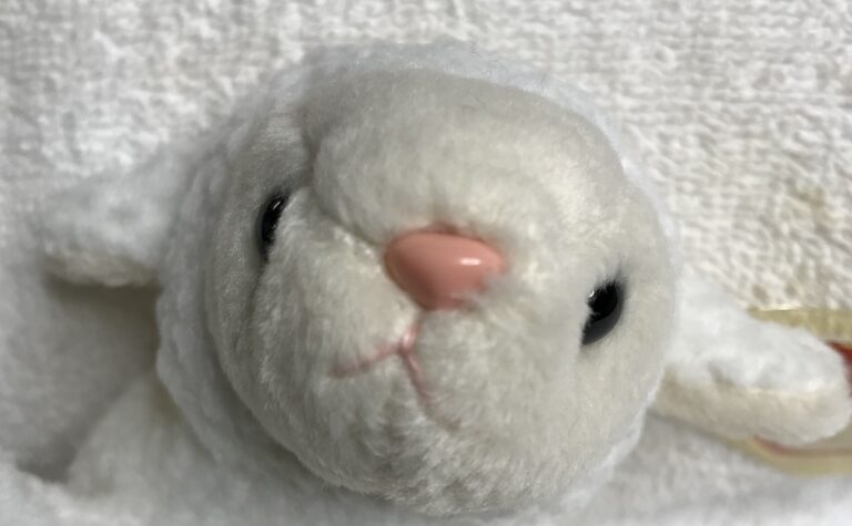 Ty Beanie Baby – Fleece the Lamb – 1996 – White with Pink Nose – Tags Intact – Estate Collection - Image 8