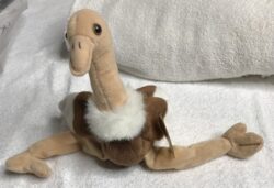 Stretch the Ostrich