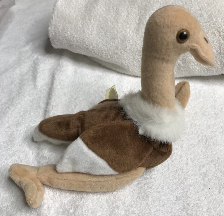 Ty Beanie Baby Stretch the Ostrich 1997 Retired – Beanie Original Baby – Estate Collection - Image 14