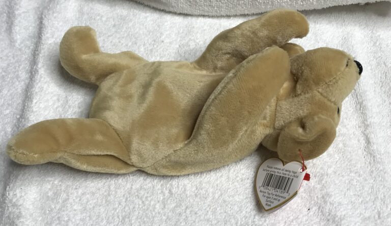 Ty Beanie Baby Fetch the Dog – DOB 2/4/1997 – Retired – Plastic Nose Tags Intact - Image 11