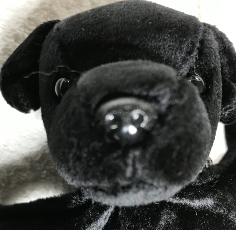 Ty Beanie Baby Luke the Black Lab Dog 1998 Tags Attached Estate Collection - Image 7