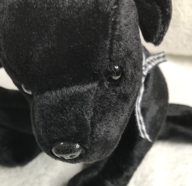 Ty Beanie Baby Luke the Black Lab Dog 1998 Tags Attached Estate Collection - Image 13