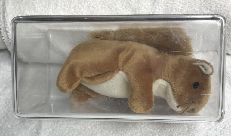 Ty Beanie Baby – Nuts the Squirrel – January 21, 1996 – Tags Intact – Display Case – Estate Collection - Image 3