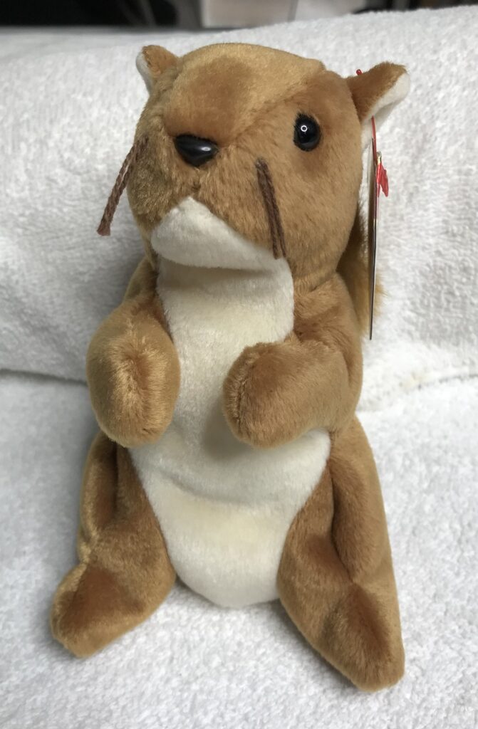 Ty Beanie Baby – Nuts the Squirrel – January 21, 1996 – Tags Intact – Display Case – Estate Collection - Image 10