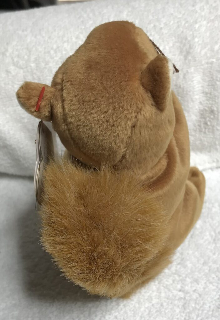Ty Beanie Baby – Nuts the Squirrel – January 21, 1996 – Tags Intact – Display Case – Estate Collection - Image 6
