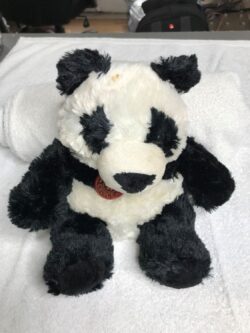 Panda Bear