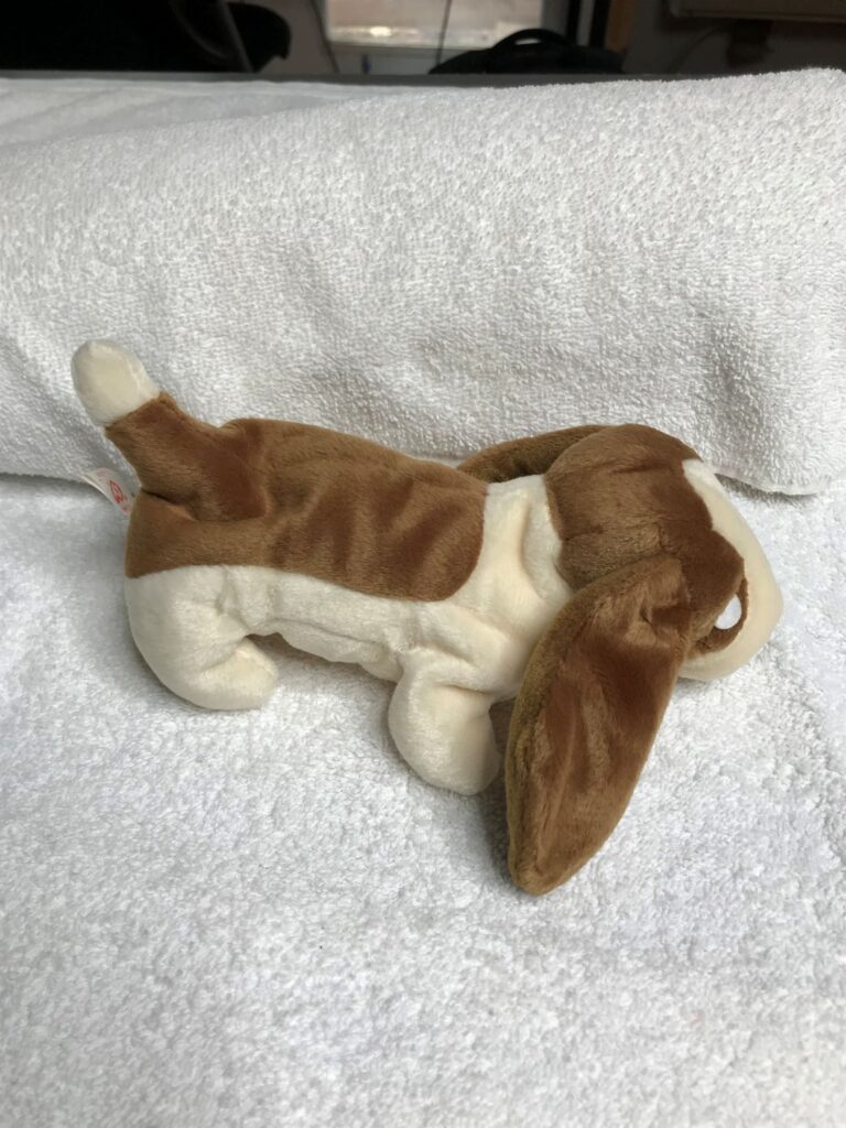 Ty Beanie Baby – Tracker the Basset Hound – 1997 – Tags Intact – Estate Collection - Image 11