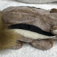 Beanie baby baby chipper tags intact