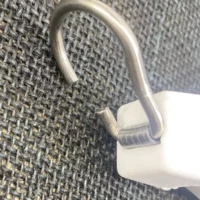 Dog leash retractable white dog