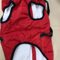 Item fashion sports sports dog