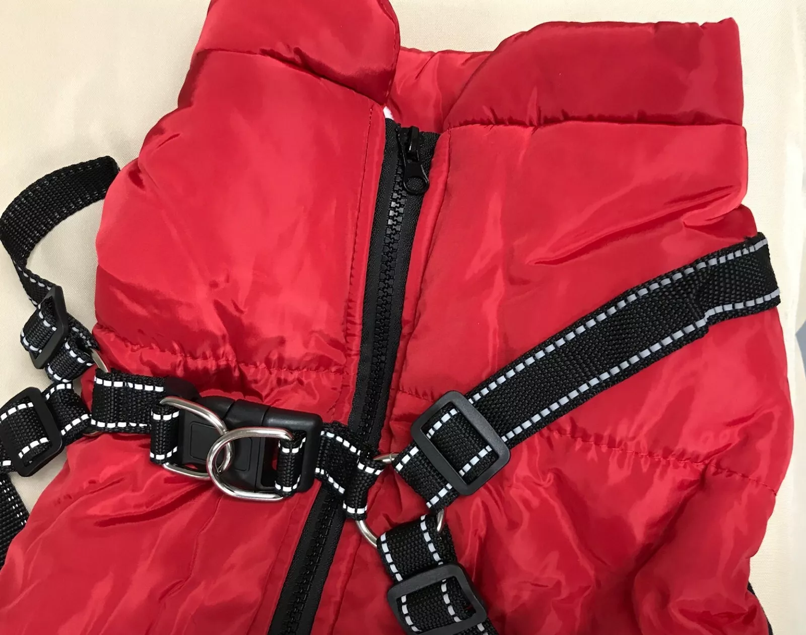 Item fashion sports sports dog