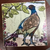 Fat dragonfly shanni welsh item