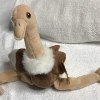 Beanie baby estate collection beanie