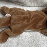 Beanie baby baby sly 1996 retired