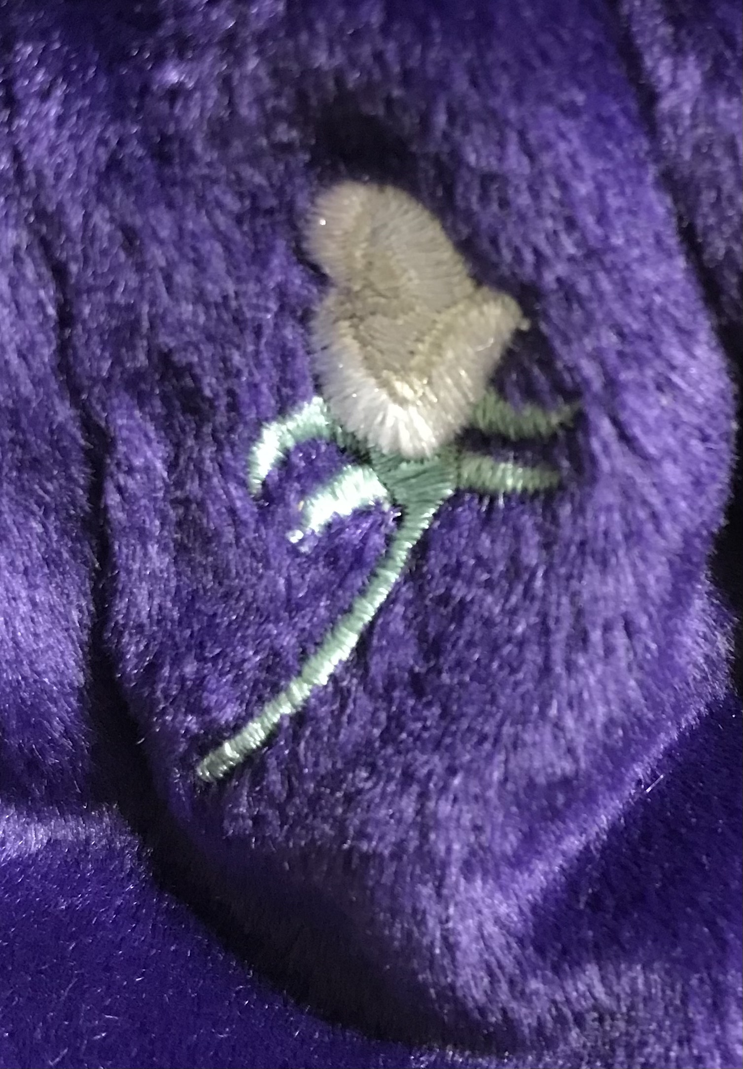 Display case estate collection beanie baby