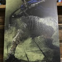 Displate metal dark souls item