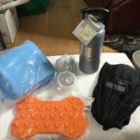 Training pads dog pet dog