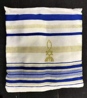 Shawl storage storage case blue gold