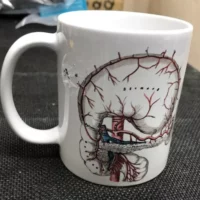 Body parts item one stomach