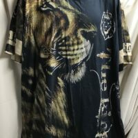 Lion front choice lion graphic