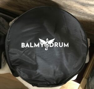 Carrying case black carrying steel tongue