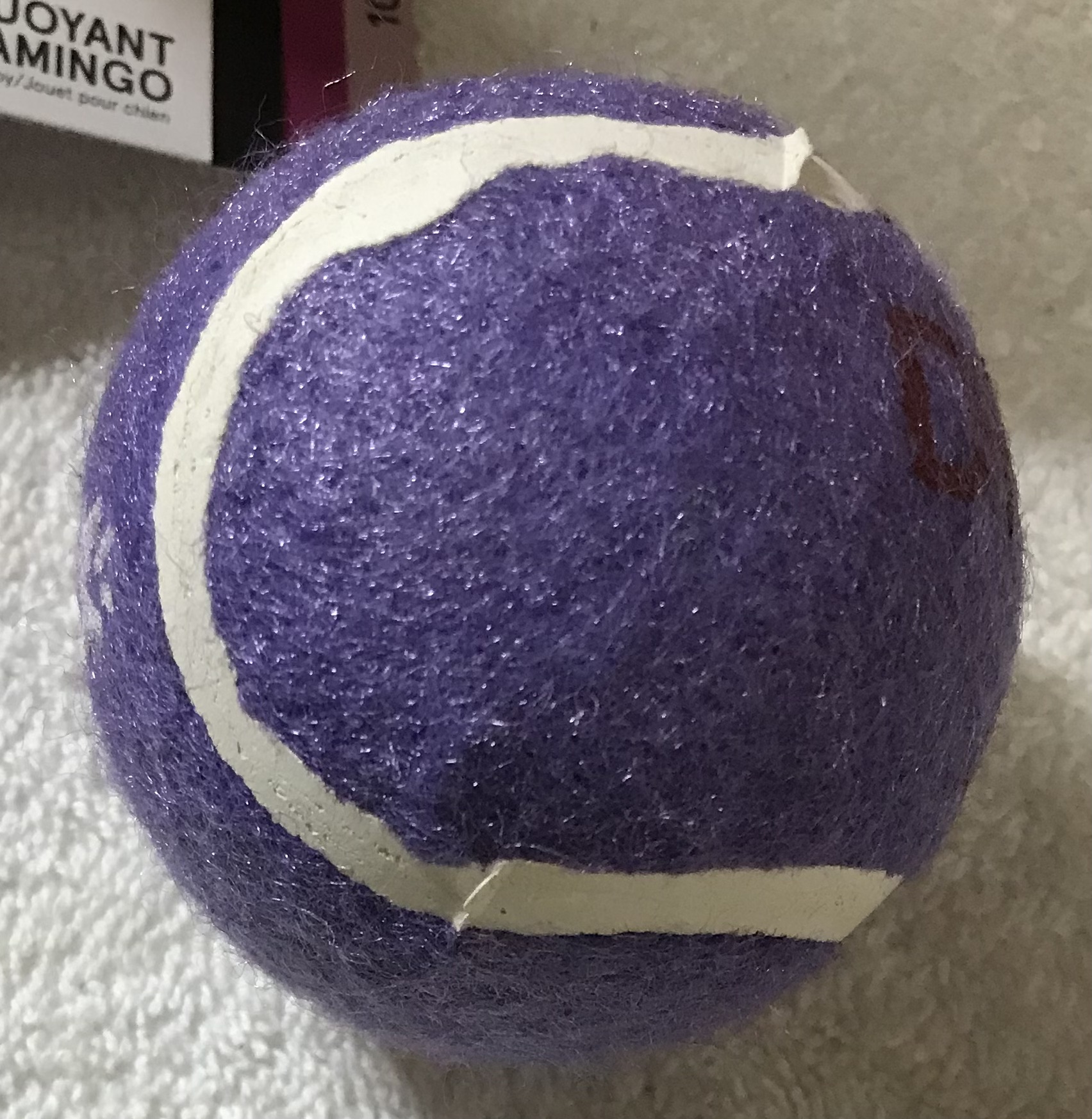 BARK School Dog Pack Toy Bundle 5 Toys M-L Plus Super Chewer NEW - Image 5