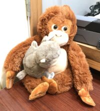 Punch the Monkey