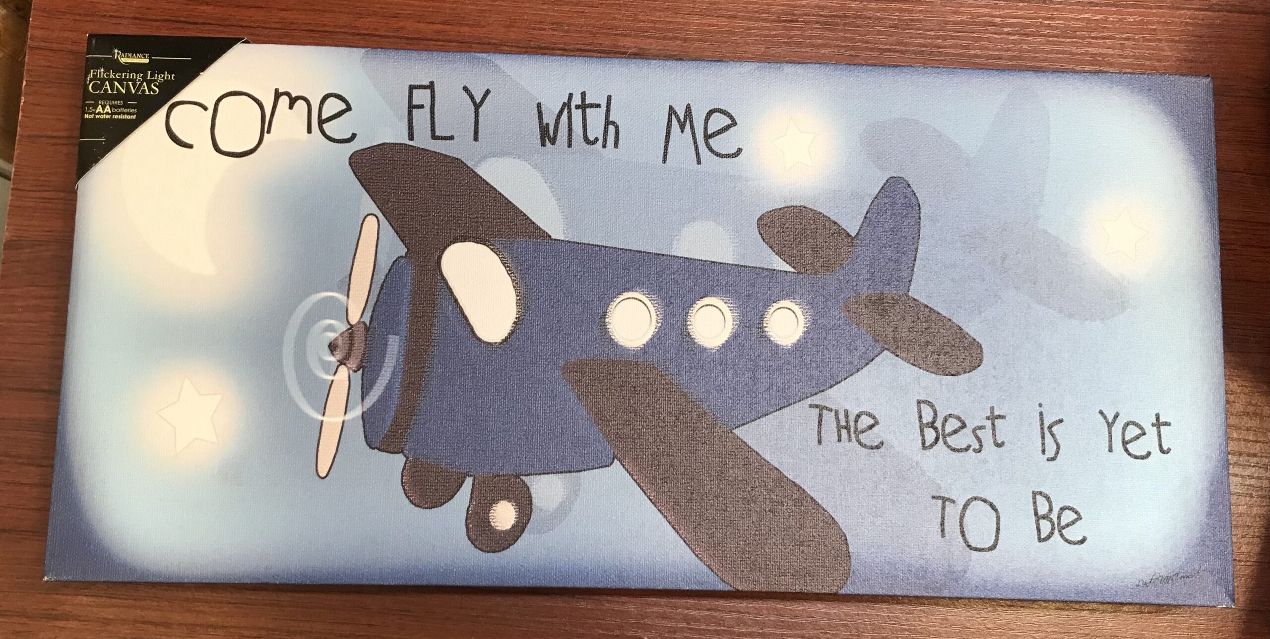 Come Fly with Me